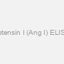 Angiotensin I (Ang I) ELISA Kit